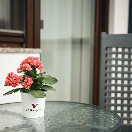 Vadkacsa Panzio Bed & Breakfast 3*
