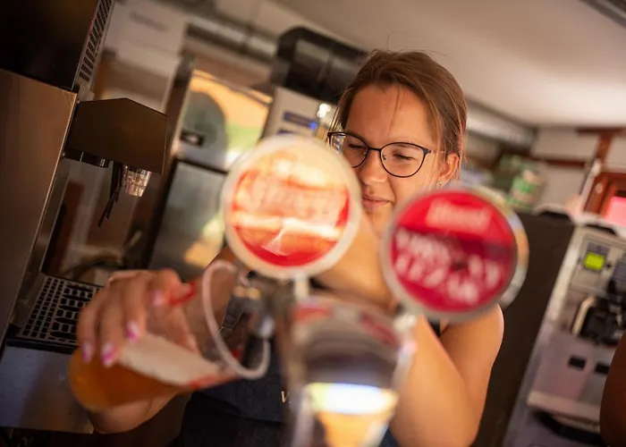 Vadkacsa Panzio Bed and breakfast