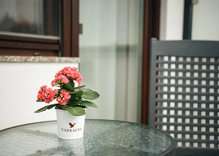 Vadkacsa Panzio Bed & Breakfast 3*
